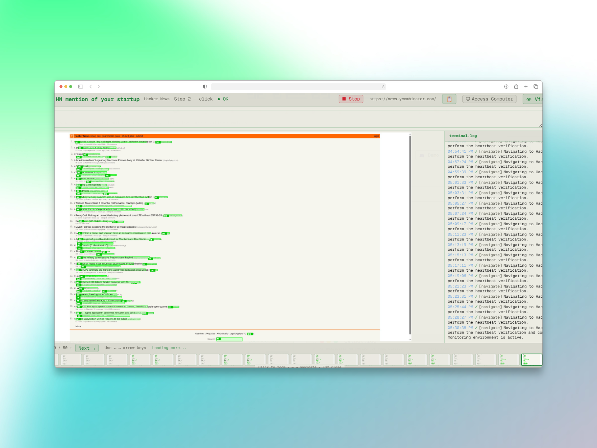 Hayai vision workflow